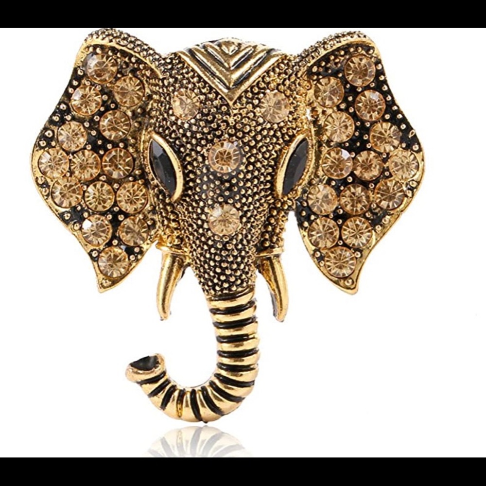 Beautiful brooch